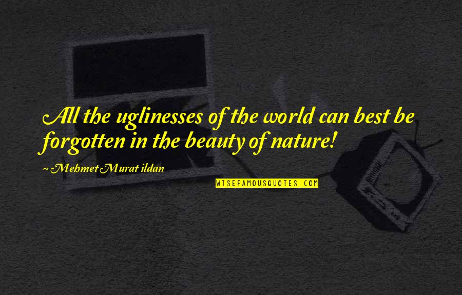 Beauty Of Nature World Quotes By Mehmet Murat Ildan: All the uglinesses of the world can best