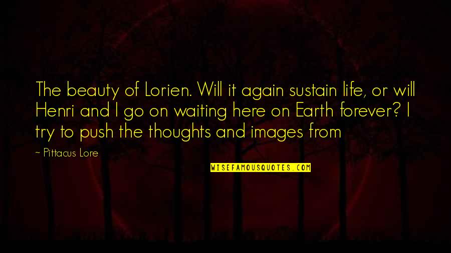 Beauty On Earth Quotes By Pittacus Lore: The beauty of Lorien. Will it again sustain