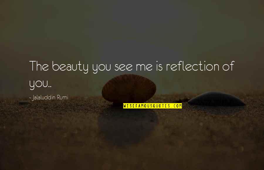 Beauty Reflection Quotes By Jalaluddin Rumi: The beauty you see me is reflection of