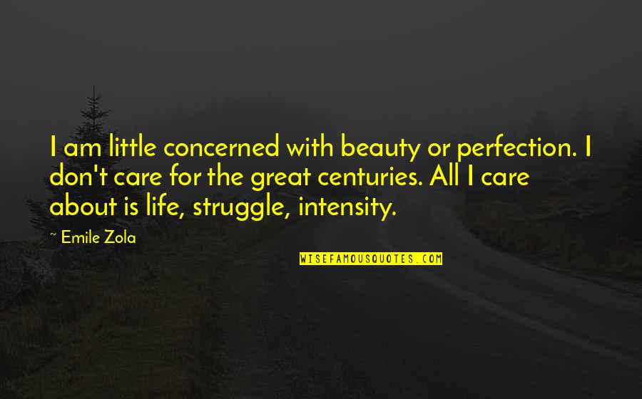 Beauty Struggle Quotes By Emile Zola: I am little concerned with beauty or perfection.