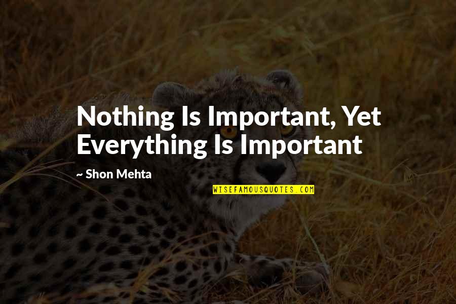 Beauty Top 10 Quotes By Shon Mehta: Nothing Is Important, Yet Everything Is Important