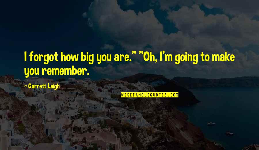 Beauty Unseen Quotes By Garrett Leigh: I forgot how big you are." "Oh, I'm