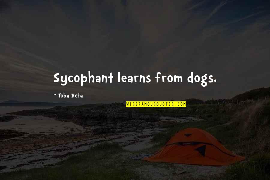 Beauty Weheartit Quotes By Toba Beta: Sycophant learns from dogs.