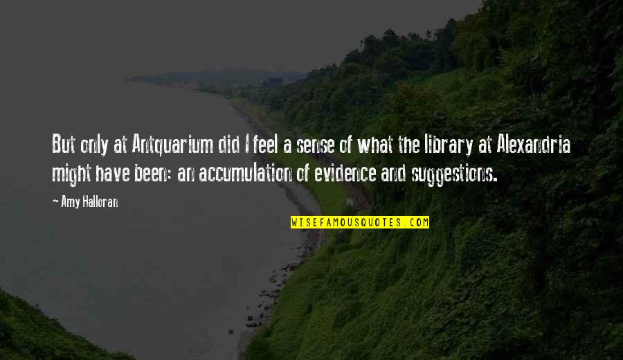 Beauvaughnphotography Quotes By Amy Halloran: But only at Antquarium did I feel a Beauvaughnphotography Quotes By Amy Halloran: But only at Antquarium did I feel a