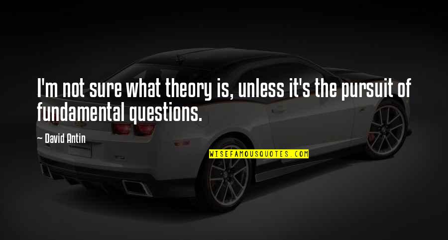 Bebeklerde Burun Quotes By David Antin: I'm not sure what theory is, unless it's