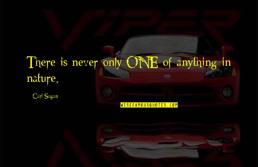 Bebicon Quotes By Carl Sagan: There is never only ONE of anything in