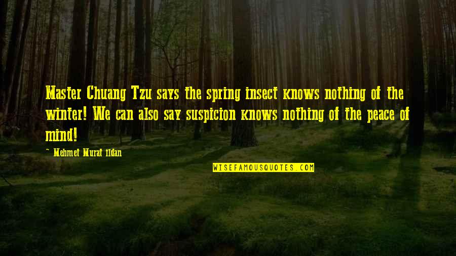 Bebother Quotes By Mehmet Murat Ildan: Master Chuang Tzu says the spring insect knows