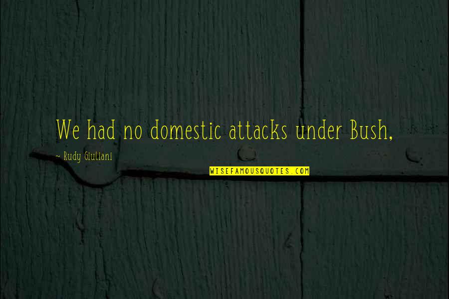 Bec Quotes By Rudy Giuliani: We had no domestic attacks under Bush,