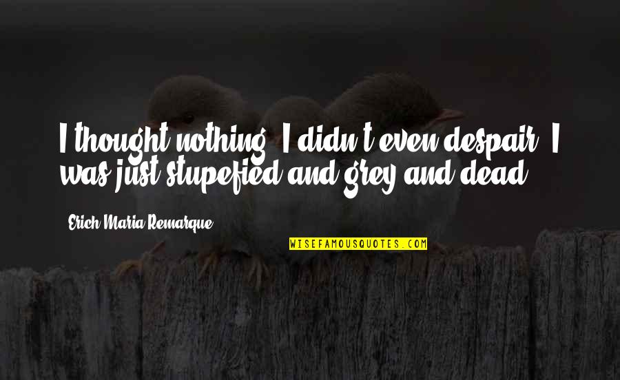 Becase Quotes By Erich Maria Remarque: I thought nothing; I didn't even despair; I