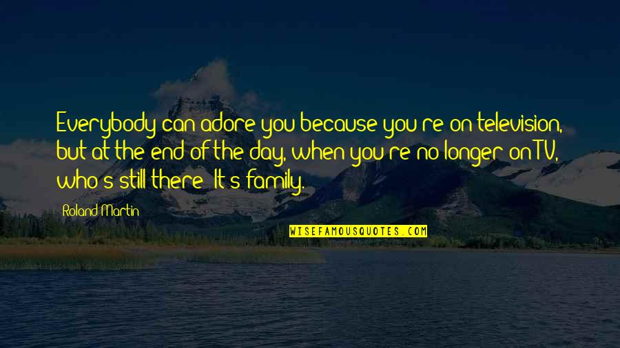 Because At The End Of The Day Quotes By Roland Martin: Everybody can adore you because you're on television, Because At The End Of The Day Quotes By Roland Martin: Everybody can adore you because you're on television,