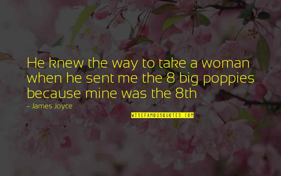 Because I Am A Woman Quotes By James Joyce: He knew the way to take a woman