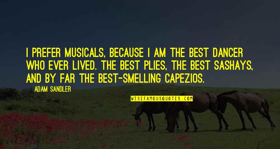 Because I Am Quotes By Adam Sandler: I prefer musicals, because I am the best