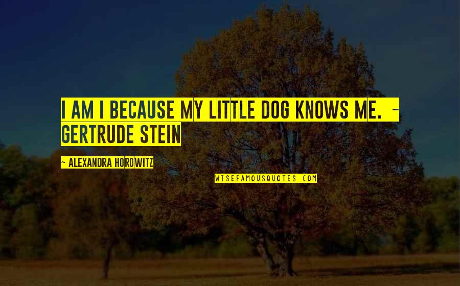 Because I Am Quotes By Alexandra Horowitz: I am I because my little dog knows