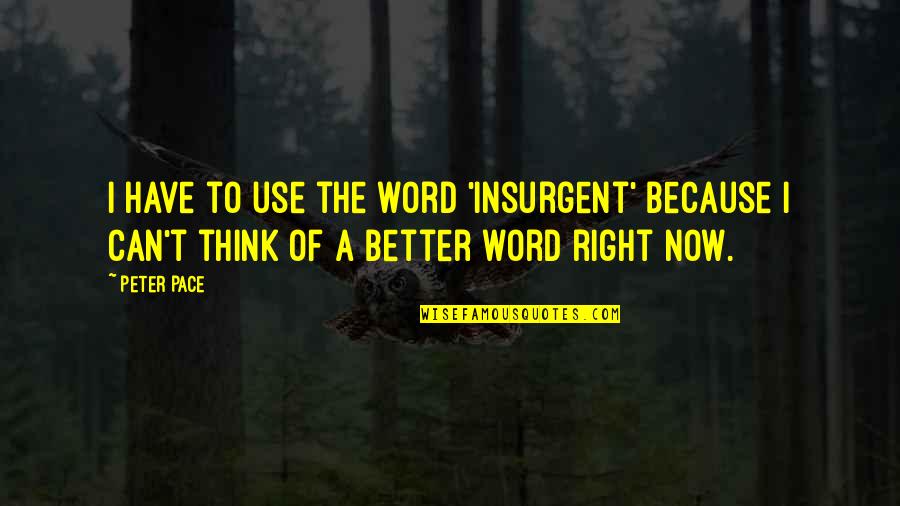 Because I Quotes By Peter Pace: I have to use the word 'insurgent' because