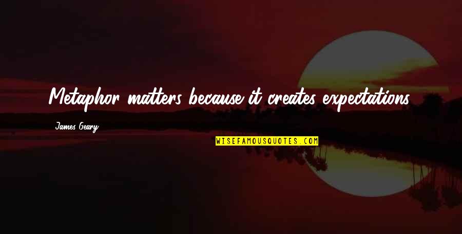 Because It Matters Quotes By James Geary: Metaphor matters because it creates expectations.