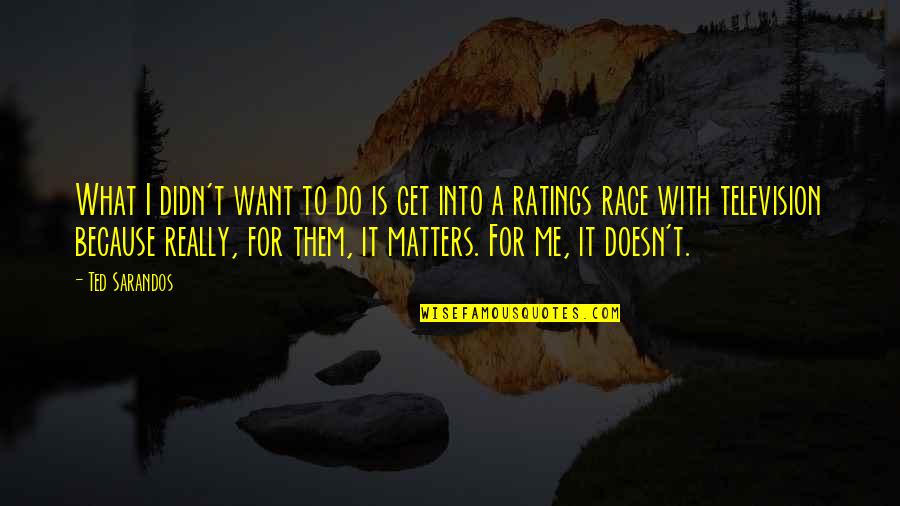 Because It Matters Quotes By Ted Sarandos: What I didn't want to do is get