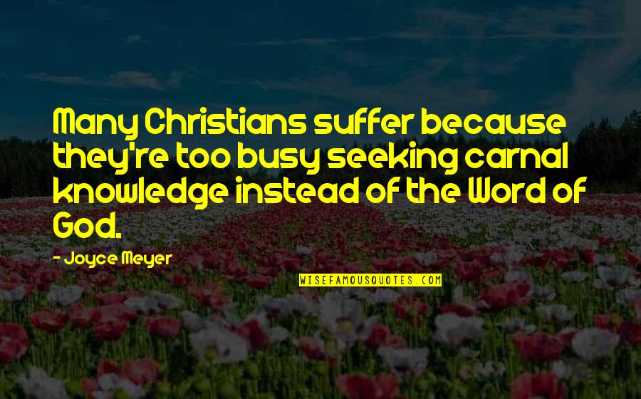 Because Of God Quotes By Joyce Meyer: Many Christians suffer because they're too busy seeking