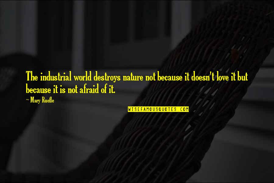 Because Of Nature Quotes By Mary Ruefle: The industrial world destroys nature not because it Because Of Nature Quotes By Mary Ruefle: The industrial world destroys nature not because it