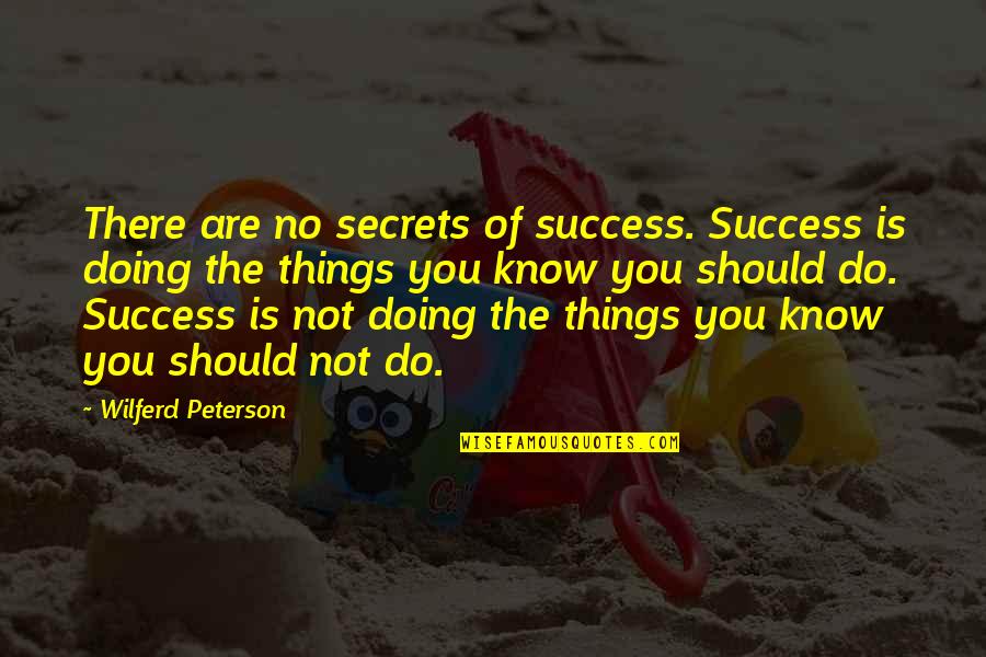 Because Of Romek Quotes By Wilferd Peterson: There are no secrets of success. Success is
