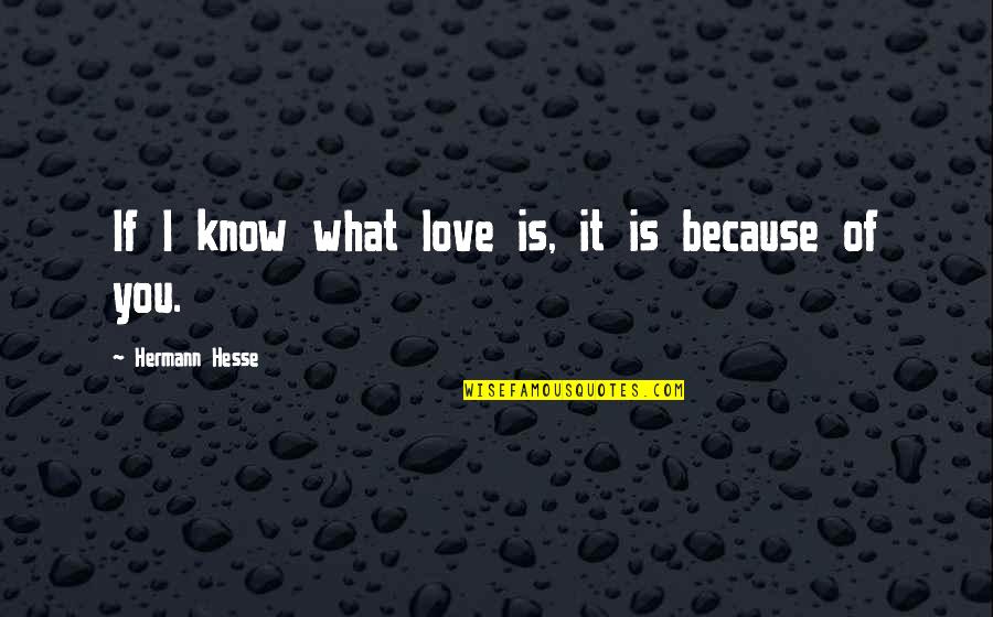 Because Of You Love Quotes By Hermann Hesse: If I know what love is, it is