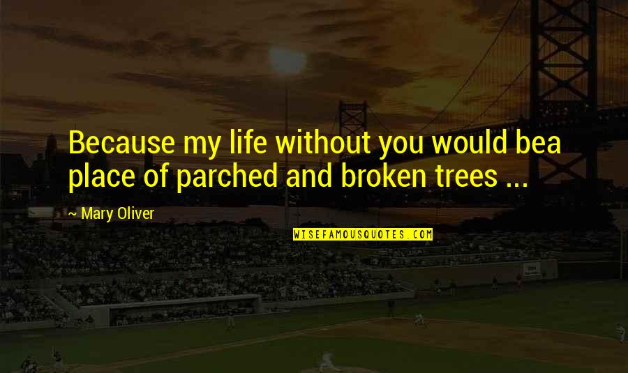 Because Of You Love Quotes By Mary Oliver: Because my life without you would bea place