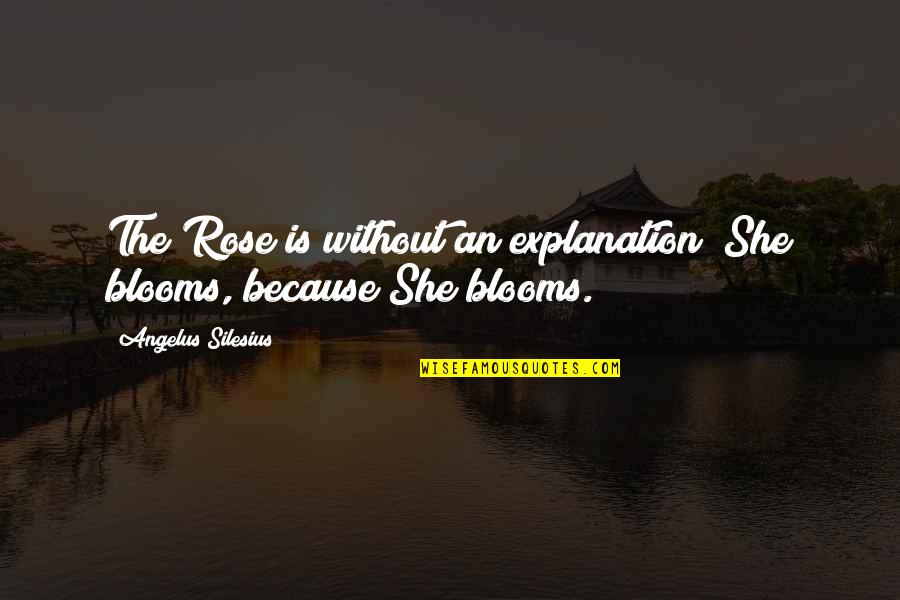 Because She Quotes By Angelus Silesius: The Rose is without an explanation; She blooms,