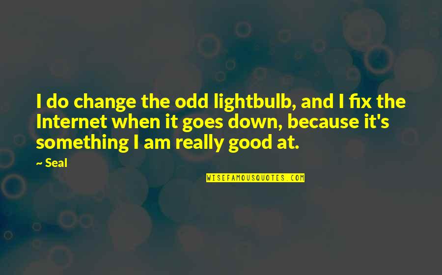Because The Internet Quotes By Seal: I do change the odd lightbulb, and I