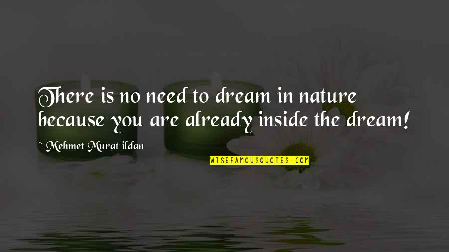 Because You Are You Quotes By Mehmet Murat Ildan: There is no need to dream in nature