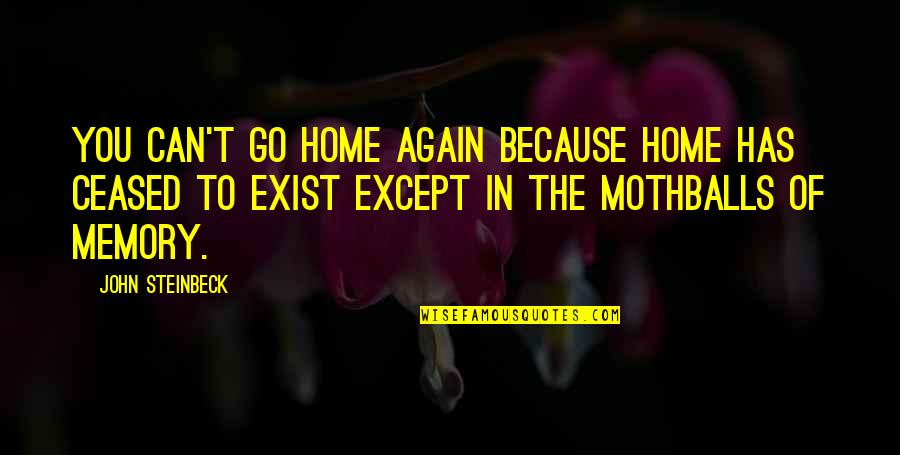 Because You Exist Quotes By John Steinbeck: You can't go home again because home has