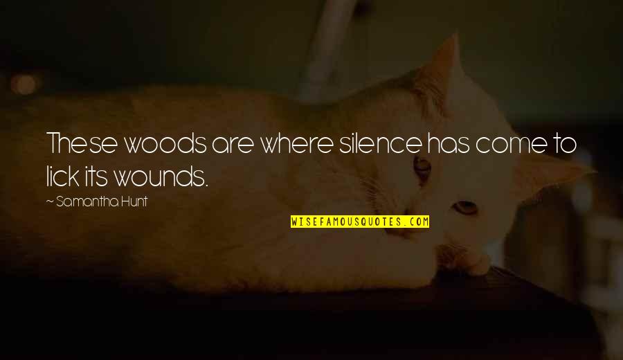 Becausei Quotes By Samantha Hunt: These woods are where silence has come to Becausei Quotes By Samantha Hunt: These woods are where silence has come to