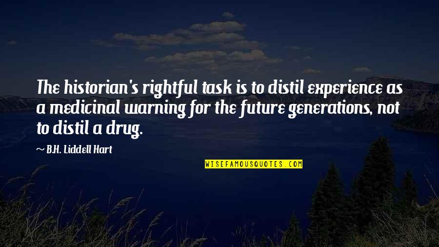 Bece If Everything Was Perfect Quotes By B.H. Liddell Hart: The historian's rightful task is to distil experience Bece If Everything Was Perfect Quotes By B.H. Liddell Hart: The historian's rightful task is to distil experience