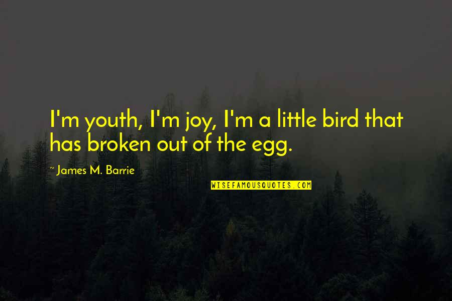 Bechamp Reduction Quotes By James M. Barrie: I'm youth, I'm joy, I'm a little bird