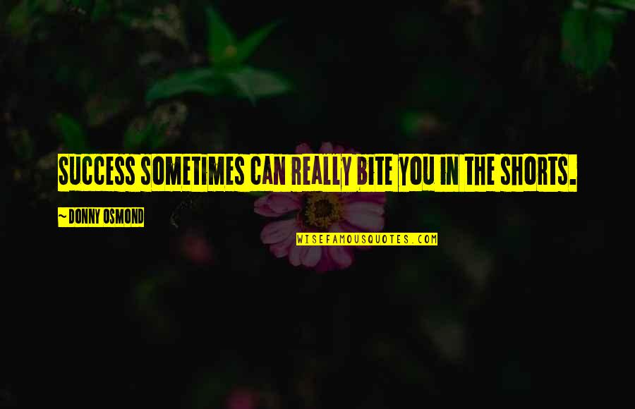 Bechipindo Quotes By Donny Osmond: Success sometimes can really bite you in the Bechipindo Quotes By Donny Osmond: Success sometimes can really bite you in the