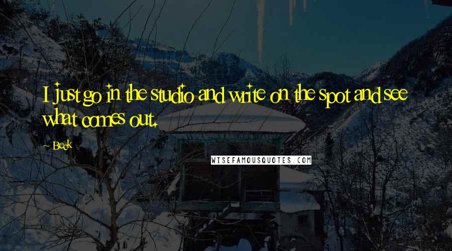 Beck quotes: I just go in the studio and write on the spot and see what comes out.