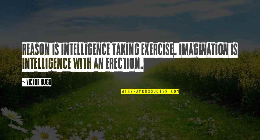 Beckie Mcshane Quotes By Victor Hugo: Reason is intelligence taking exercise. Imagination is intelligence