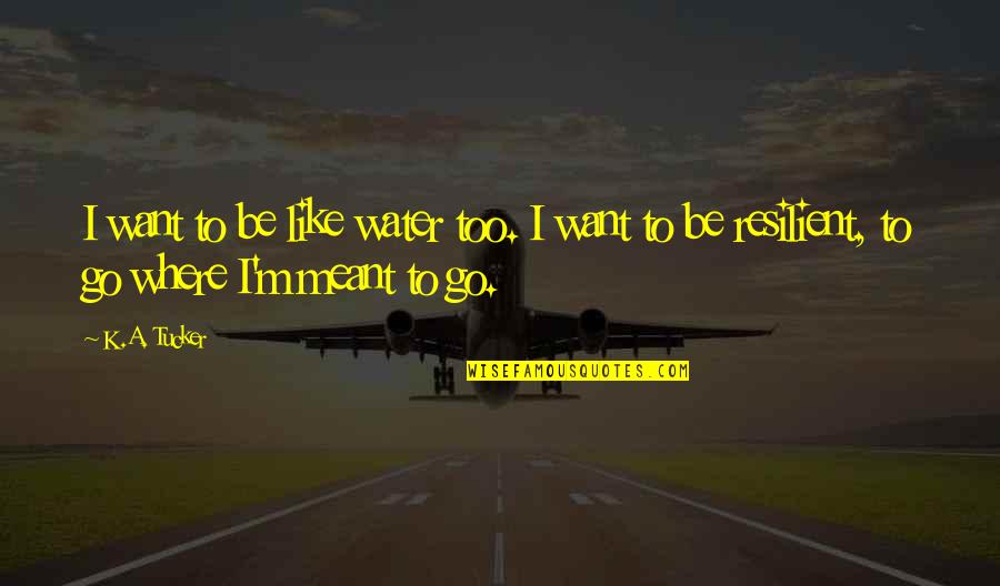 Become Chacha Quotes By K.A. Tucker: I want to be like water too. I