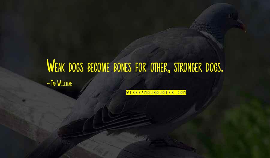 Become Stronger Quotes By Tad Williams: Weak dogs become bones for other, stronger dogs.