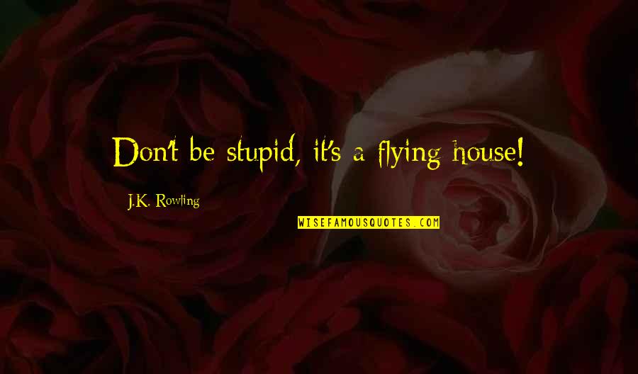 Becoming A First Time Mother Quotes By J.K. Rowling: Don't be stupid, it's a flying house!