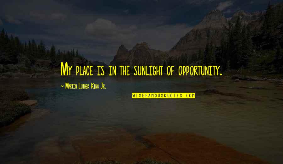 Becoming A Great Writer Quotes By Martin Luther King Jr.: My place is in the sunlight of opportunity.