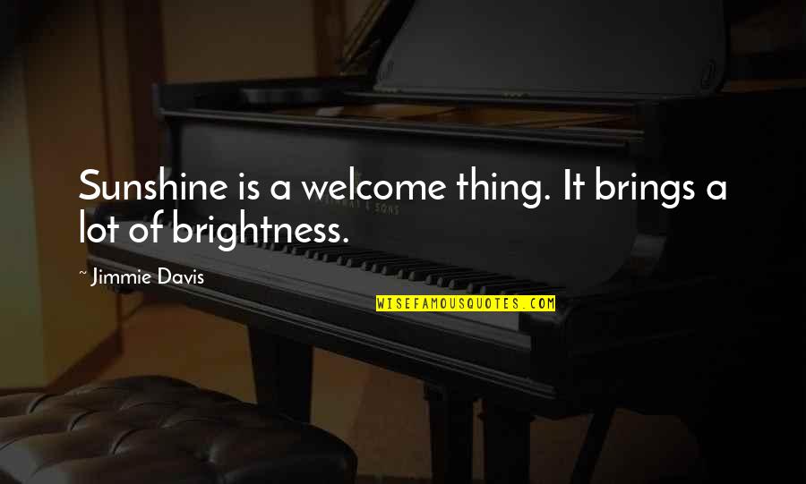 Becoming A Manager Quotes By Jimmie Davis: Sunshine is a welcome thing. It brings a