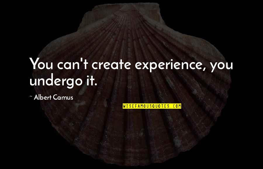 Becoming A New Family Quotes By Albert Camus: You can't create experience, you undergo it.