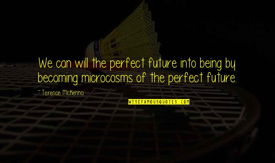 Becoming Perfect Quotes By Terence McKenna: We can will the perfect future into being