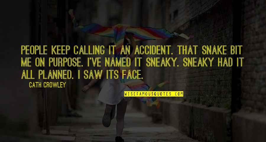 Becoming The Person You Want To Be Quotes By Cath Crowley: People keep calling it an accident. That snake