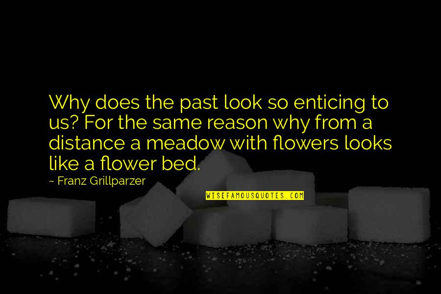 Bed Of Flowers Quotes By Franz Grillparzer: Why does the past look so enticing to