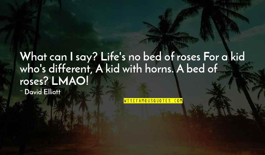 Bed Of Roses Quotes By David Elliott: What can I say? Life's no bed of