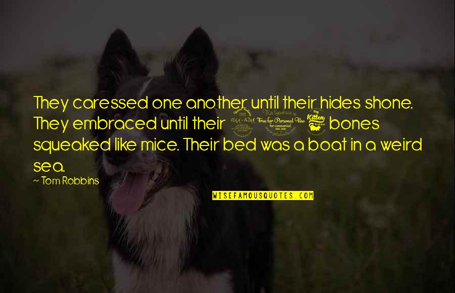 Bed Quotes By Tom Robbins: They caressed one another until their hides shone.