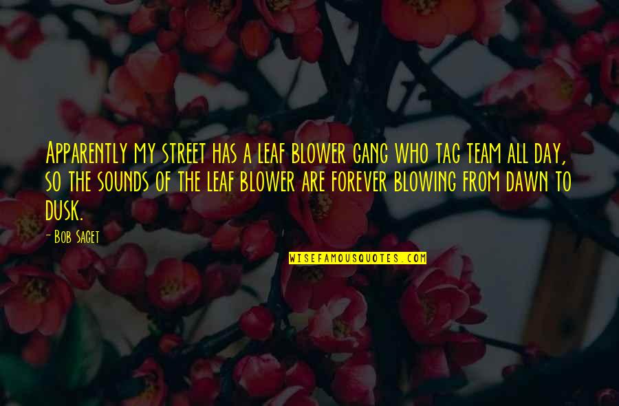 Bedazing Quotes By Bob Saget: Apparently my street has a leaf blower gang