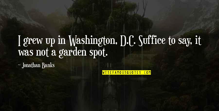 Bedecking Quotes By Jonathan Banks: I grew up in Washington, D.C. Suffice to