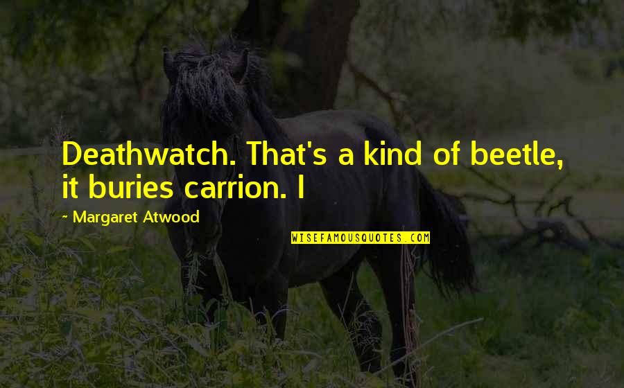 Bedekovich Quotes By Margaret Atwood: Deathwatch. That's a kind of beetle, it buries