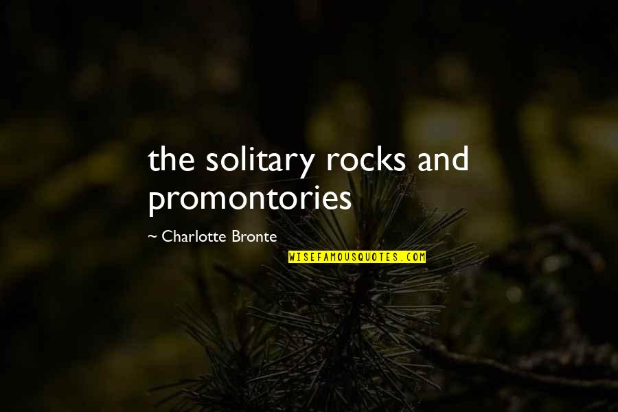 Bedells Chihuahuas Quotes By Charlotte Bronte: the solitary rocks and promontories